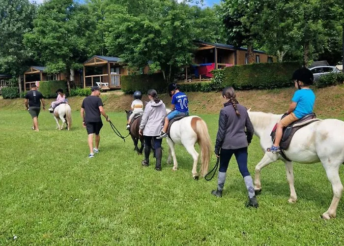 Mobil 6 Pers. Avec Terrasse - Api-1-52-1300 Campingplads Saint-Geniez-dʼOlt
